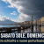 Meteo, weekend diviso in due: sole sabato, poi tornano piogge diffuse sull&rsquo;Italia